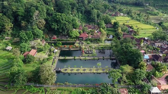 Aerial view of Tirta Ganga surrounded by rice fields and trees.