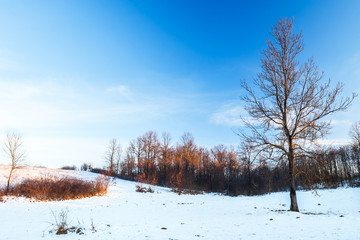 Winter landscape on a sunny day in the hills