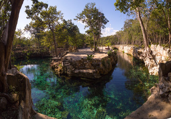 Cenotes, Turtle House, Tulum , Quintana Roo, Mexico