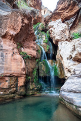 Fresh water cascading down falls and accumulating in small crystal clear pools, Elves Chasm, Grand Canyon National Park, Arizona