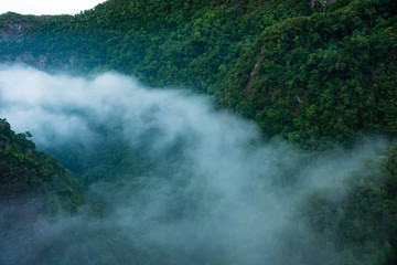 fog entering the Laurisilva Forest in Los Tilos ravine, La Palma Island, Canary Islands, Spain