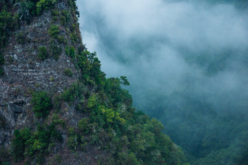 fog entering the Laurisilva Forest in Los Tilos ravine, La Palma Island, Canary Islands, Spain