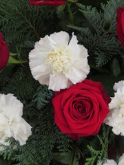 Blumen