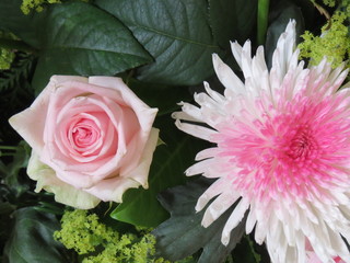 Blumen