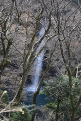 The famous waterfall of Japan. 