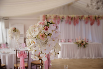 Wedding Setup decoration during Reception - Tender pink and white color - Zephyr and marshmallow details