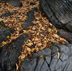 Big rocks and autumn leaves