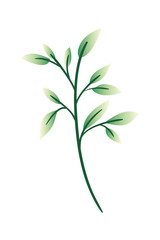 Fototapeta premium branch with leaf isolated icon