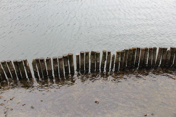 水の中に設置された杭の列(神奈川県)