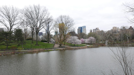 Fototapeta na wymiar Cherry Hill The Pond and Sky line at Central Park