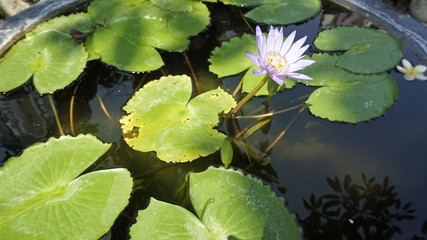 Phra Nakon Kiri Temple Complex in Thailand
