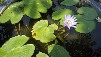 Phra Nakon Kiri Temple Complex in Thailand