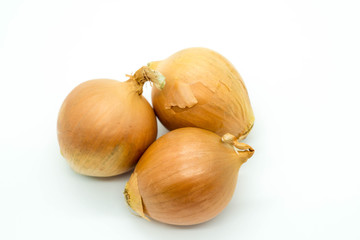 onion isolated on white background