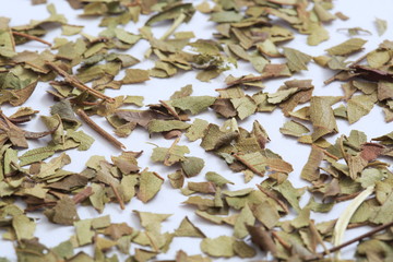 Image of Lemon Myrtle