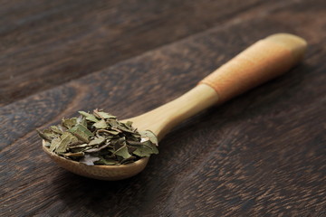 Image of Lemon Myrtle