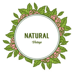 Vector illustration decorative of natural vintage with ornate of leaf rose flowers frames