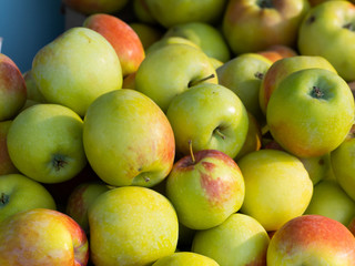 Lots of fresh green red apples.