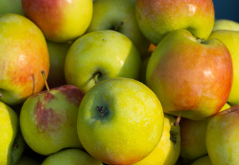 Lots of fresh green red apples.