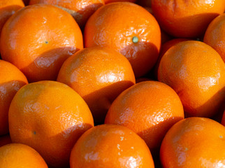 Lots of fresh mandarins. 