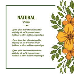 Vector illustration card natural vintage with decor of orange flower frame
