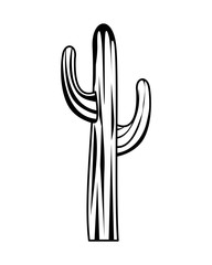 cactus plant isolated icon
