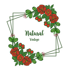 Vector illustration design artwork red rose flower frame for card of natural vintage