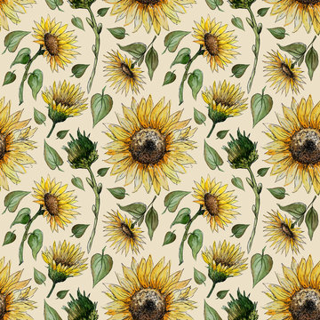 seamless pattern of watercolor sunflowers buds leaves stems on a beige background.
