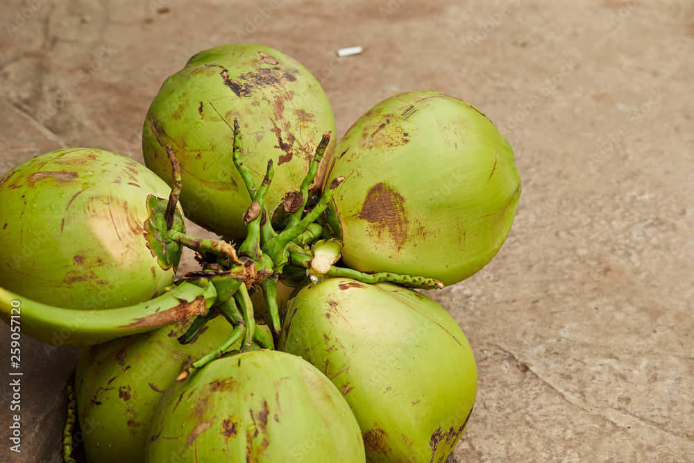 Canvas Prints coconuts