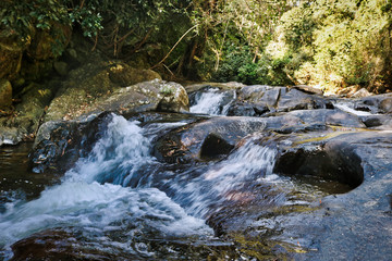 Dieses einzigartige Foto zeigt den wilden Dschungelwasserfall und die atemberaubende Natur, die...