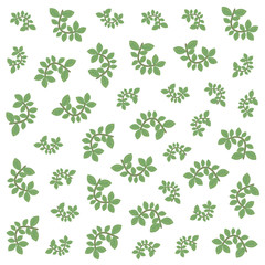 branch leaves foliage