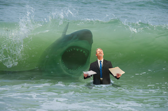 Business pressure man getting hit by wave with attacking shark