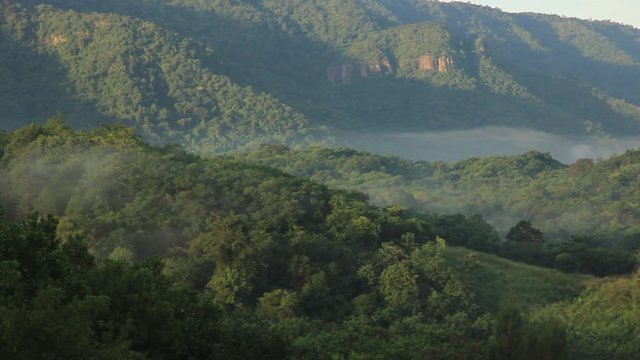 Misty mountain in the deep forest which fog and cloud flowing through the woodland hill timelapse