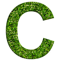 Alphabet letter C made of green grass and clovers. Letter isolated on white background