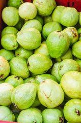 image of green guava for sale