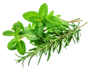 Fresh herbs isolated on white background. Fresh mint and rosemary leaf.