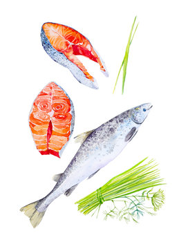 A set of red trout fish and whole pieces of steaks, and bunches of dill. Watercolor illustration isolated on white background