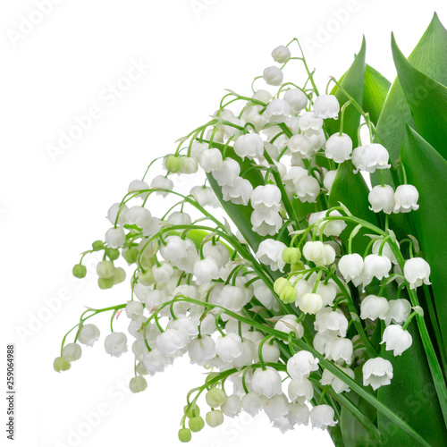Lily Of The Valley Flower Bouquet Price Wedding Galery