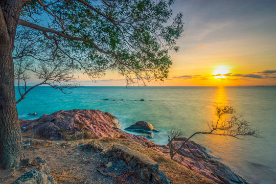 good morning sunshine