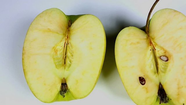 Multicolored rotten spoiled ripened apples