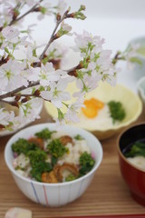 桜の下で～菜の花ホタテ御膳
