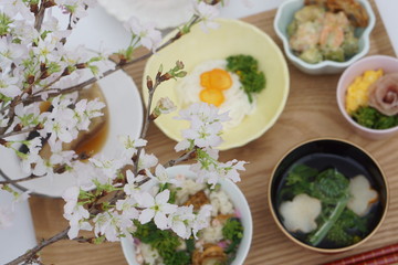桜の下で～菜の花ホタテ御膳