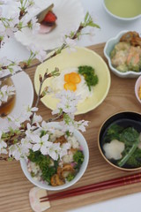 桜の下で～菜の花ホタテ御膳