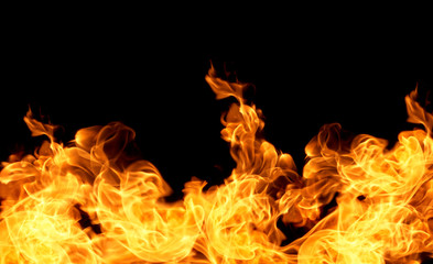 Fire flames on a black background