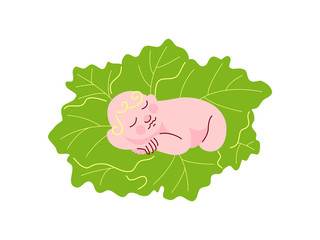 Newborn Baby Sleeping on Fresh Green Cabbage Leaves Vector Illustration