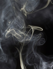 Abstract white smoke on black background