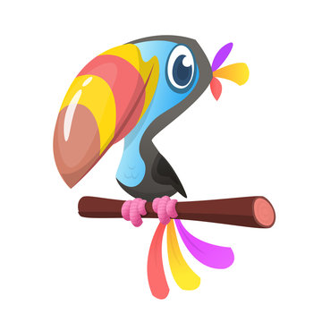 Funny cartoon illustration of toucan  sitting on the branch