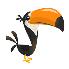Toucan bird cartoon. Vector illustration of happy tukan isolated © drawkman
