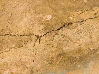 Beautiful, abstract, bright, colored surface of the plaster wall as a background and texture. Possible to use as a stylized surface with space for text
