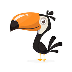 Toucan cartoon. Vector icon of toucan bird. Exotic colorful bird illustration © drawkman