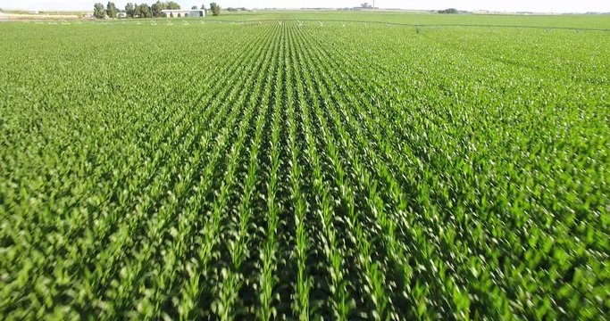4K Aerial Of Crops Agriculture In Colorado Pan Down